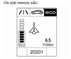 Menu de Informações ECO