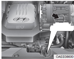 NÚMERO DO MOTOR ELÉTRICO