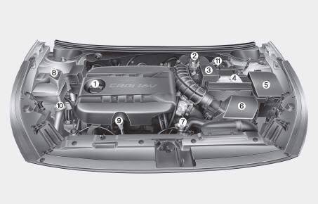 Motor diesel (UII)