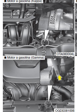 Número do motor 