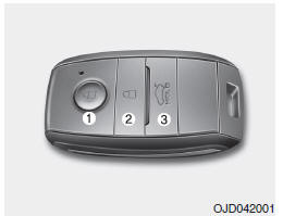 Função do dispositivo Smart Key