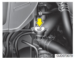 Líquido de refrigeração do motor recomendado