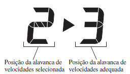 Indicador de Velocidade Selecionada (GSI)*