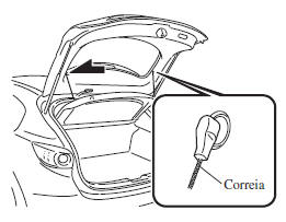 Chapeleira do Compartimento de Bagagens (Hatchback)