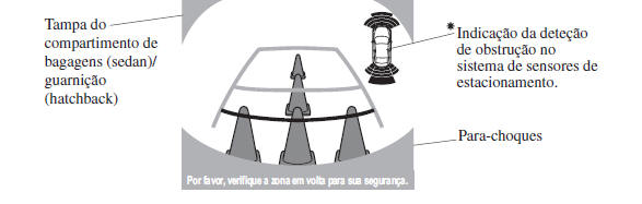 Visualização da Imagem Captada