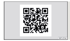 Fig. 208 Páginas web ŠKODA Connect