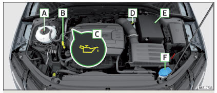 Fig. 309 Exemplo de disposição no compartimento do motor